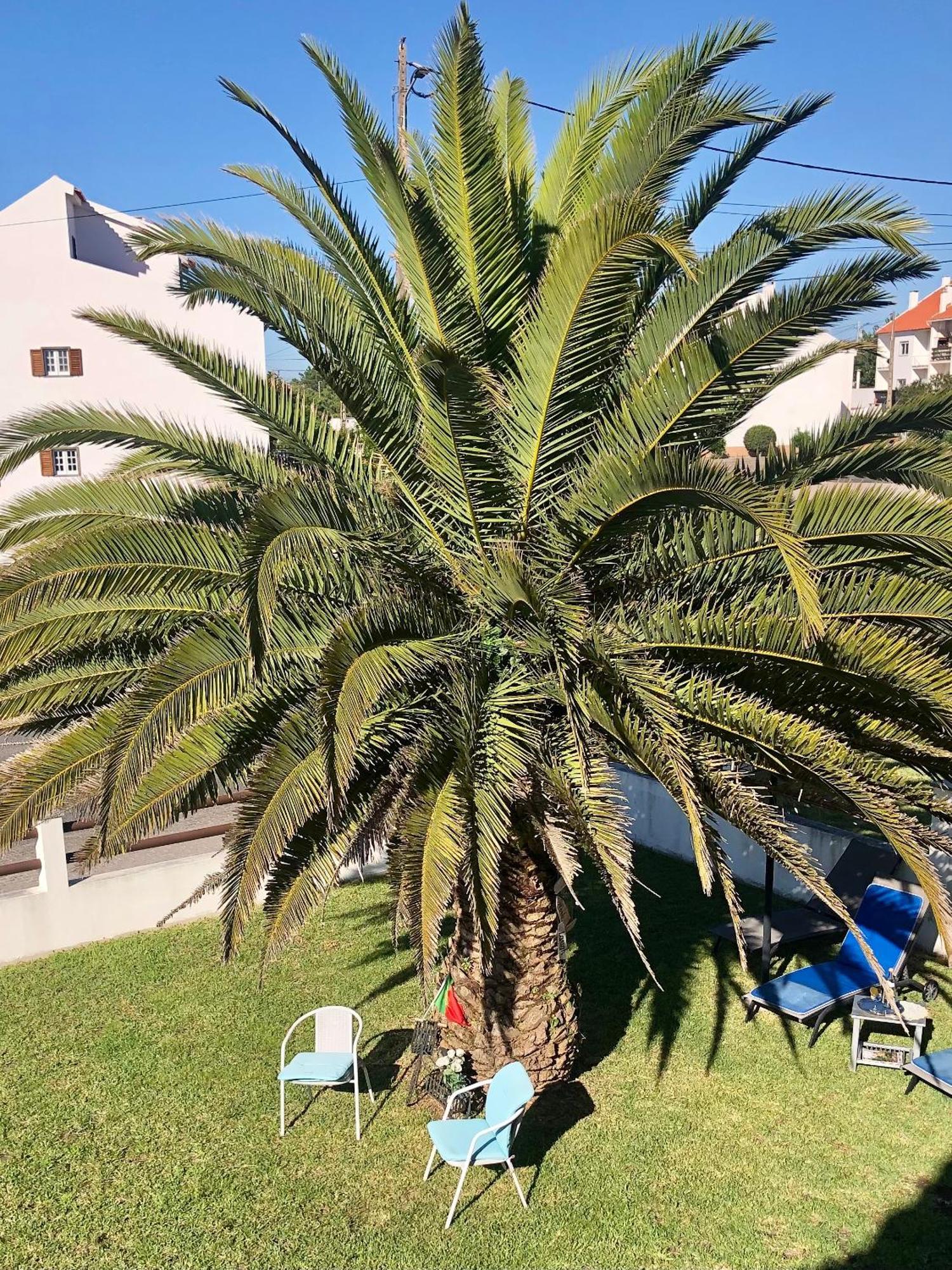Alojamento Santa Helena Villa A dos Cunhados Dış mekan fotoğraf